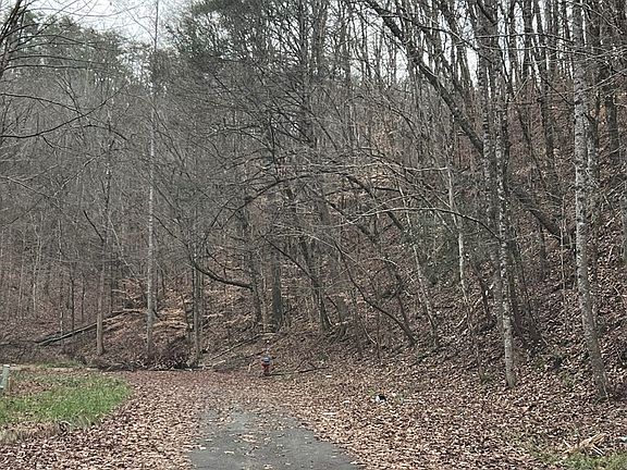 3rd image of 0 Valley Creek Way Lot 33-42