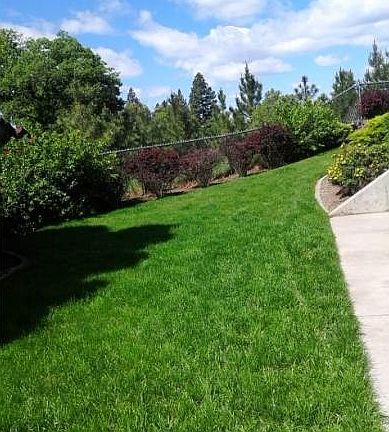 Grass circles to the back