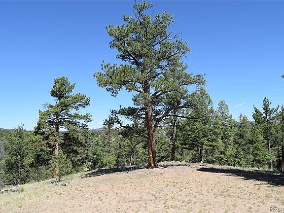 4th image of 561 Aspen Circle
