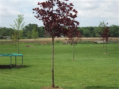 2195 Diamond Mill Rd, Brookville, OH, 45309
