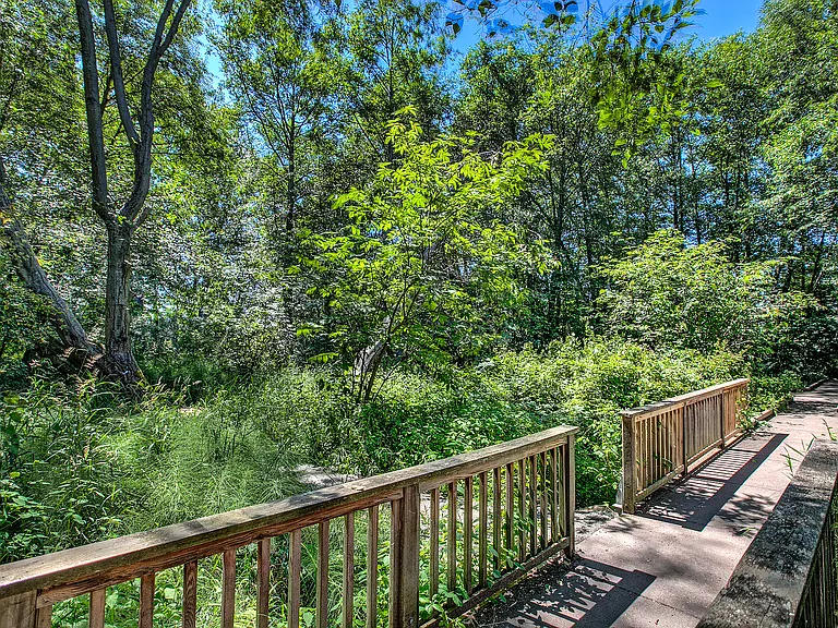 Park bridge crosses a natural stream.