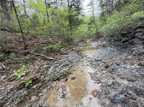 4 Cardinal Ridge Rd Tract 4, Eureka Springs, AR 72632