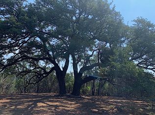 1425 Lighthouse Dr, Bluff Dale, TX 76433