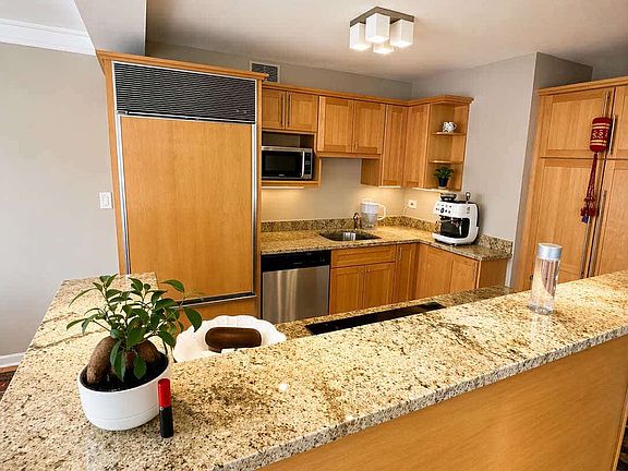 3rd image of 100 E Walton St APT 26D