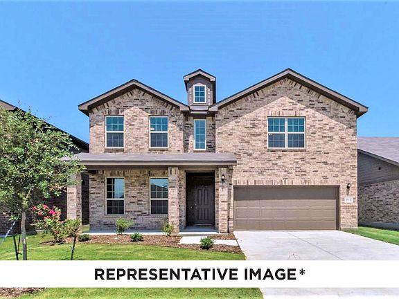 Alder with Elevation K