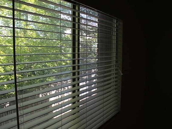5th image of 8117 Cottonwood Hills Dr