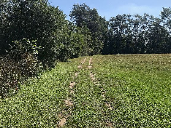 Looking to the South.