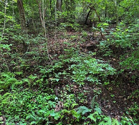 4th image of 2 Kells Ridge Dr