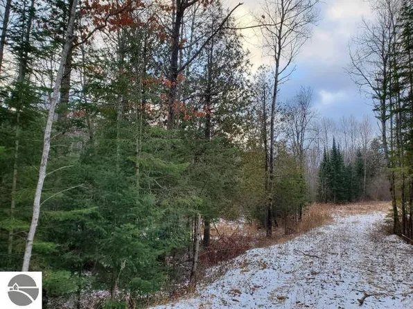 0 Sage Lake Rd, Lupton, MI 48635