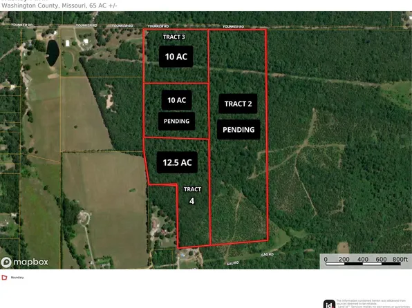 0 Younker Rd Tract 4, Potosi, MO 63664