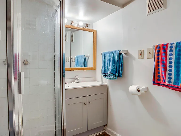 Lower Level Full Bathroom
