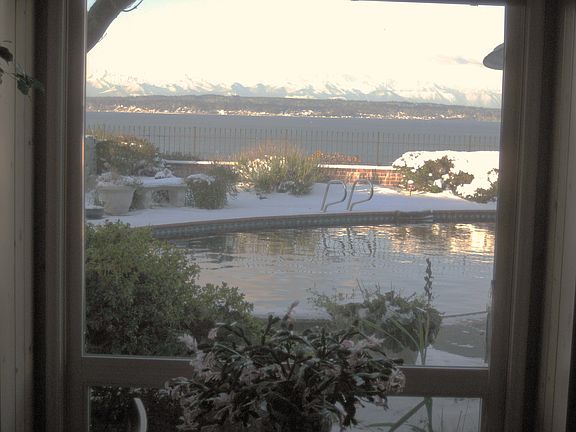 View from breakfast room