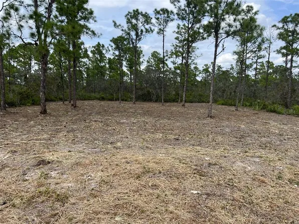 3623 FORREST POINT AVENUE LOT 25, LAKE PLACID, FL 33852