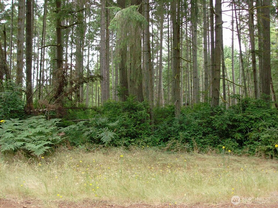 1st image of 10810 Madrona Drive