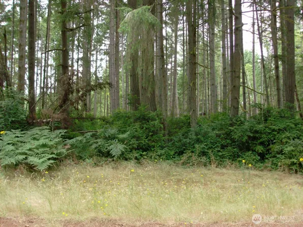 10810 Madrona Drive, Anderson Island, WA 98303