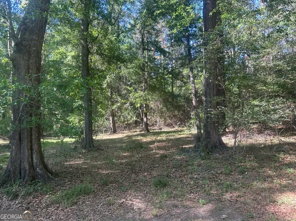 300 Country Club Rd Lot 5, Sylvania, GA 30467