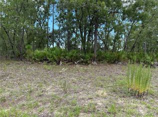 1195 W Hampshire Blvd, Citrus Springs, FL 34434