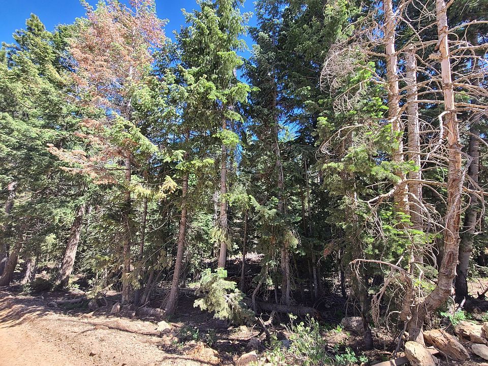 2nd image of 1090 E Redwood Rd