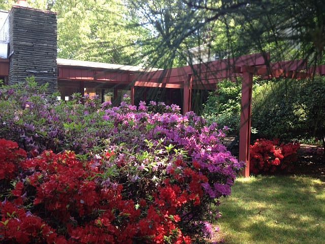front yard