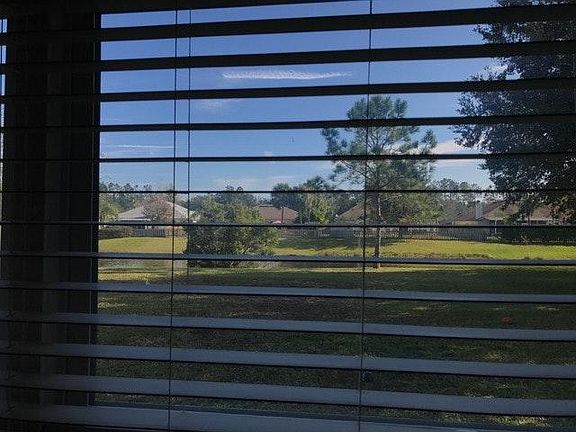 View from breakfast nook