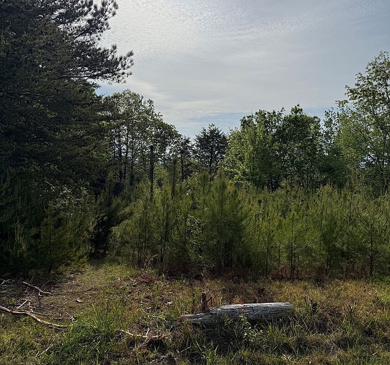 2nd image of 645 Ridgeview Cir