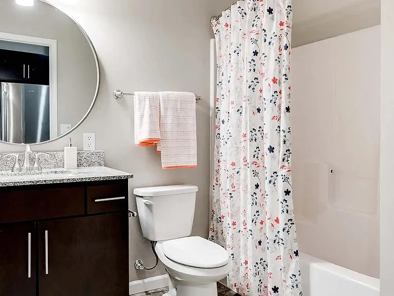 Circle Pines, MN Lexington Lofts | Ivy | Bathroom