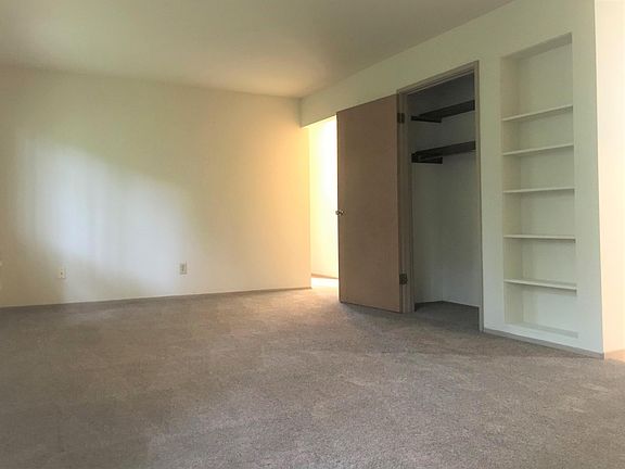 Built-in Shelves, Closet