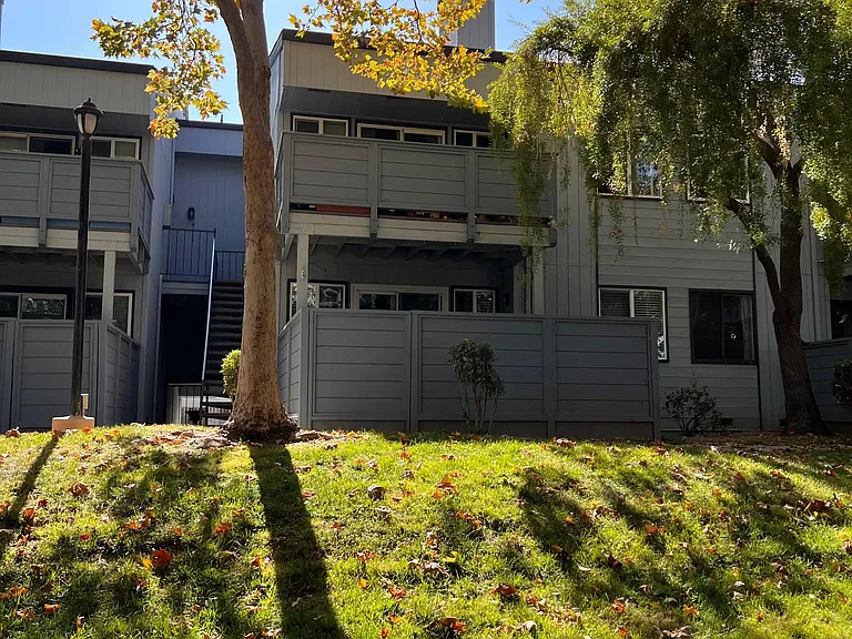 4773 Pine Forest Ln — Photo 1