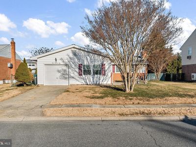 106 Caladium Ln, Newark, DE, 19711