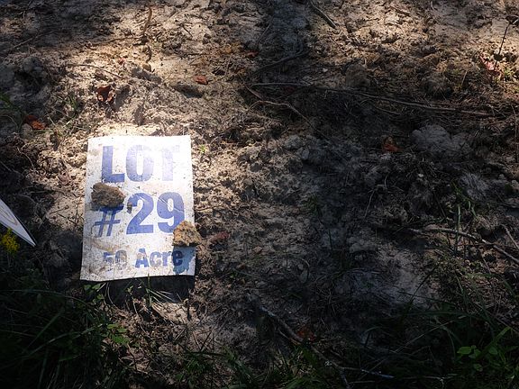 2nd image of 29 Hollywood Lot Dr
