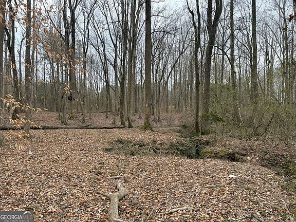 3rd image of 0 Tarpkins Rd