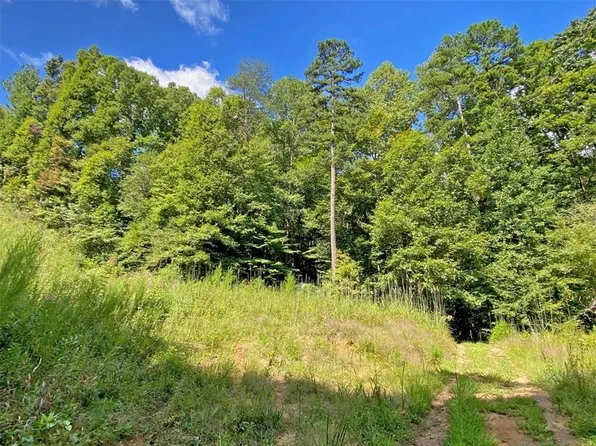 0 Falling Pines Rd Office Of, Dahlonega, GA 30533