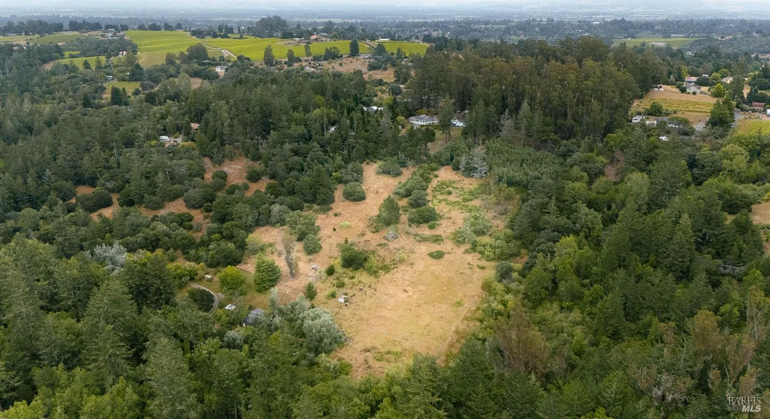 2750 Burnside Road - Photo 2