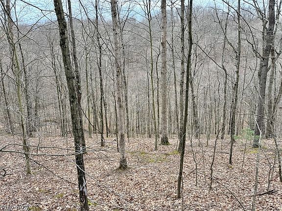 5th image of Hanson Rd