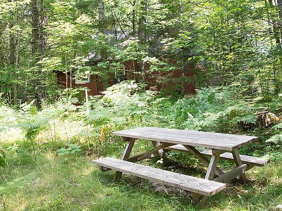 Picnic fire pit area 