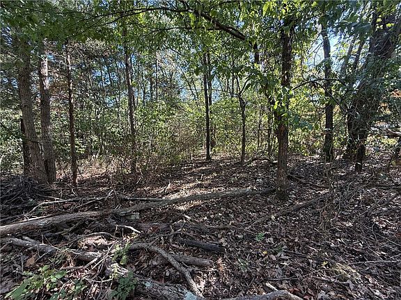 2nd image of TRACT Silver Ridge Rd #C