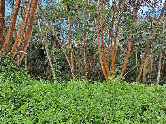 5th image of Niuhi St Lot 1450
