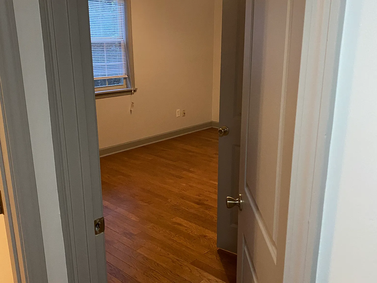 1 bed, 500 sqft, $875 — Photo 1