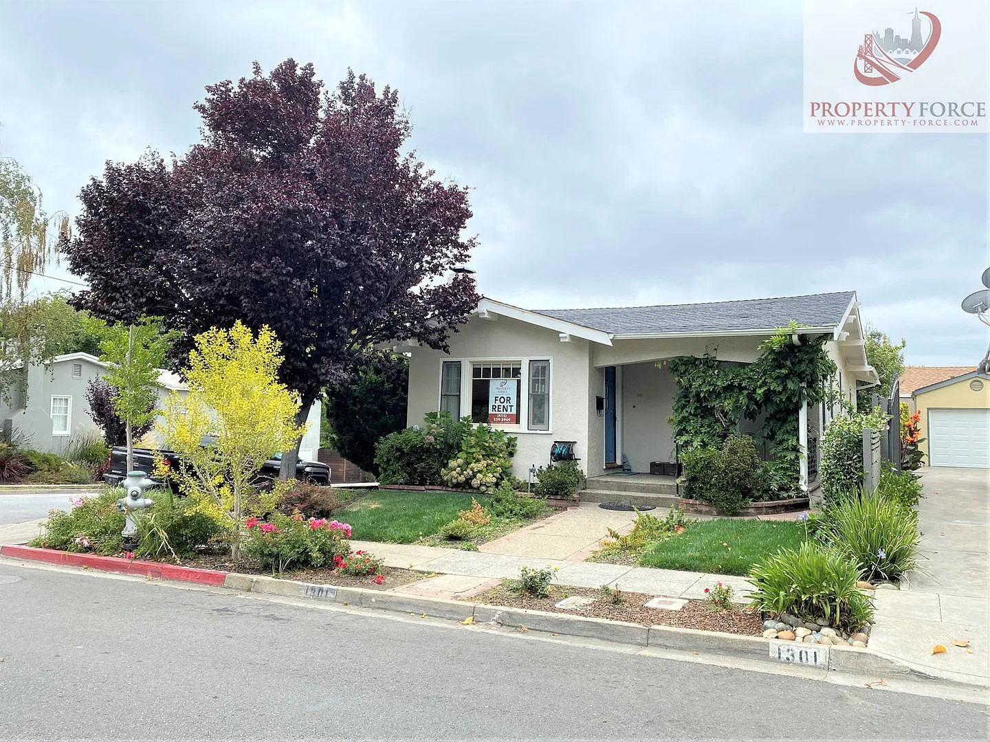 1301 Sanchez Ave-Charming 2-Bedroom Home With Detached Bonus Room - Offered By Property Force, Inc. — Photo 1
