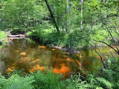  TURKEY TROT LANE LOT 2, Wausaukee, WI, 54177
