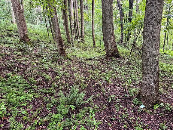 3rd image of LOT 1 Hanging Run Rd