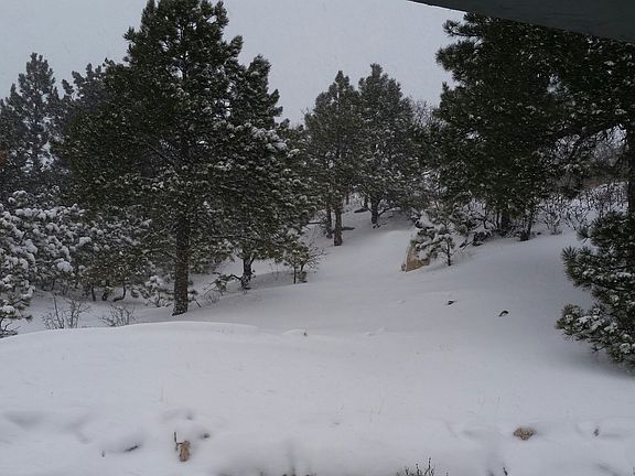 Nice in the winter too!