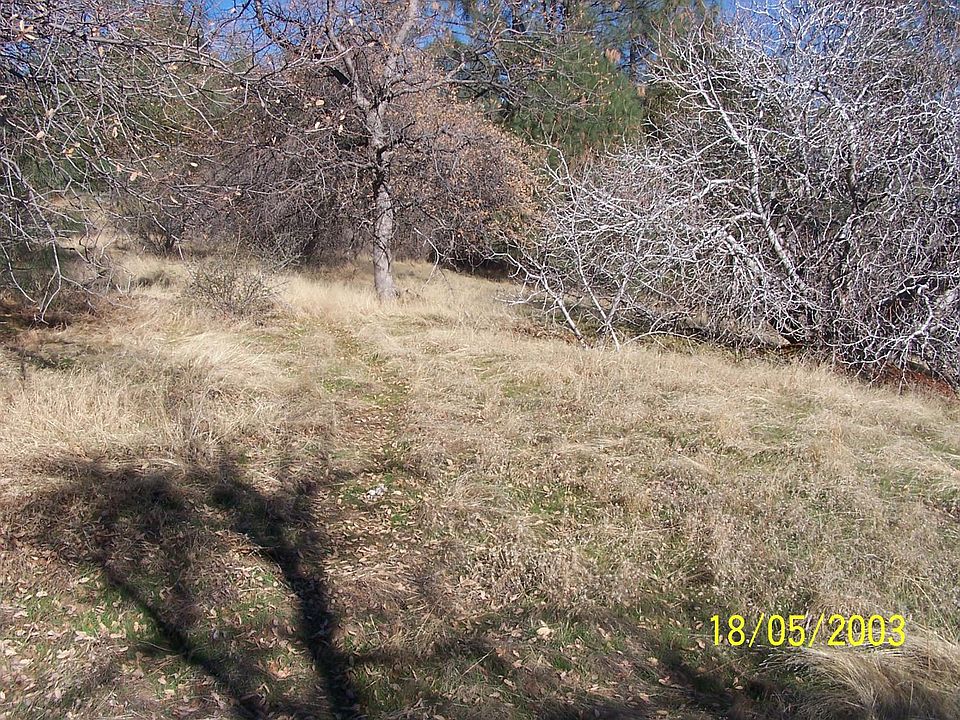 2nd image of 31 Hangtree Ct