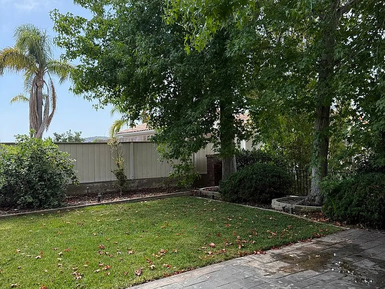 4161 Worsch Way — Photo 13