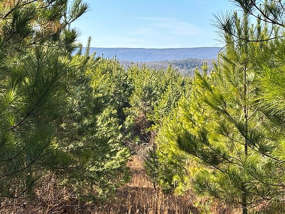 3rd image of 0 Dividing Ridge Rd