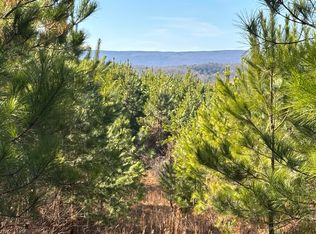 0 Dividing Ridge Rd, Spring City, TN 37381