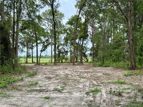 3921 S Placid Ave, Inverness, FL 34452