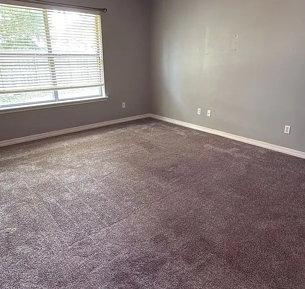 9812 Kings Pointe Dr — Photo 31
