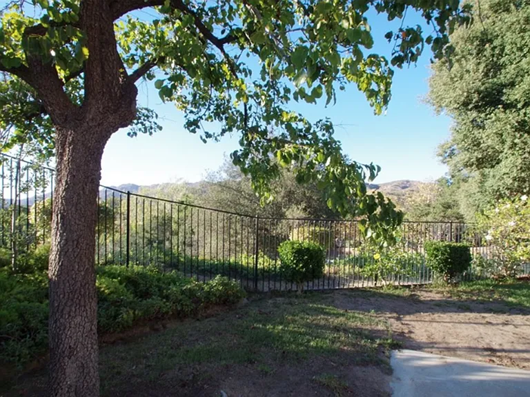 6797 Oak Forest Dr — Photo 19