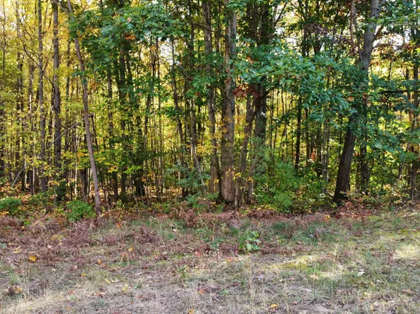 0 Vl 105th Ave, Allegan, MI 49010